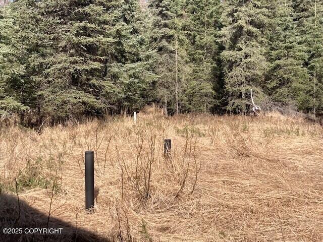 19405 Ridge St, Kasilof, AK 99610 - view of local wilderness
