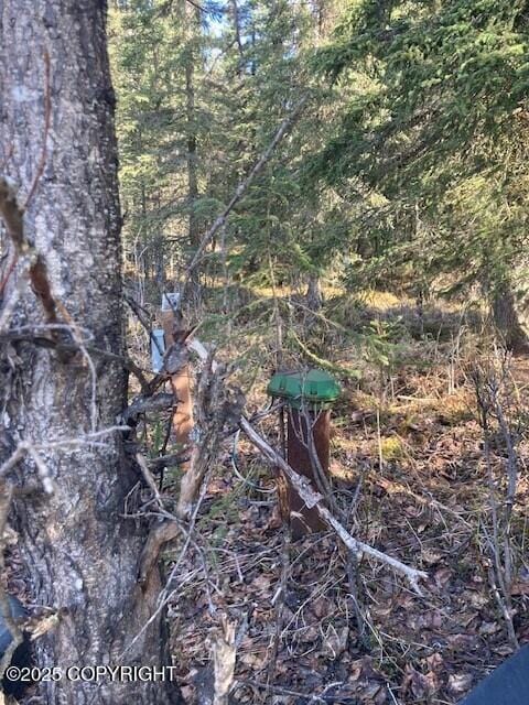 19405 Ridge St, Kasilof, AK 99610 - view of landscape featuring a view of trees