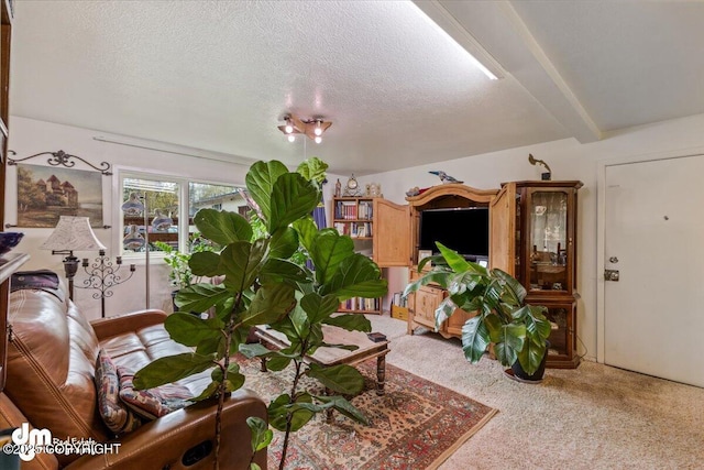 2601 E Quiet Cir, Wasilla, AK 99654 - carpeted living room with a textured ceiling and beam ceiling