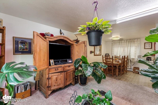 2601 E Quiet Cir, Wasilla, AK 99654 - living area with light colored carpet, a textured ceiling, and a baseboard heating unit