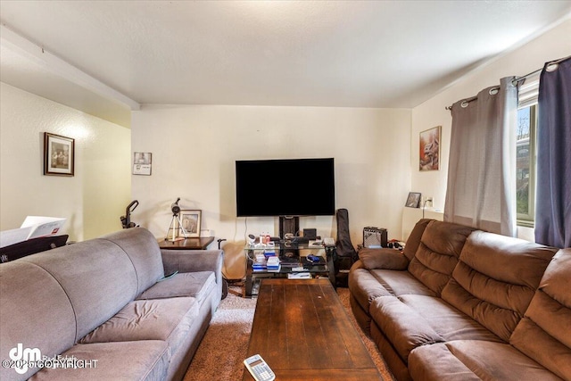 2601 E Quiet Cir, Wasilla, AK 99654 - view of living area
