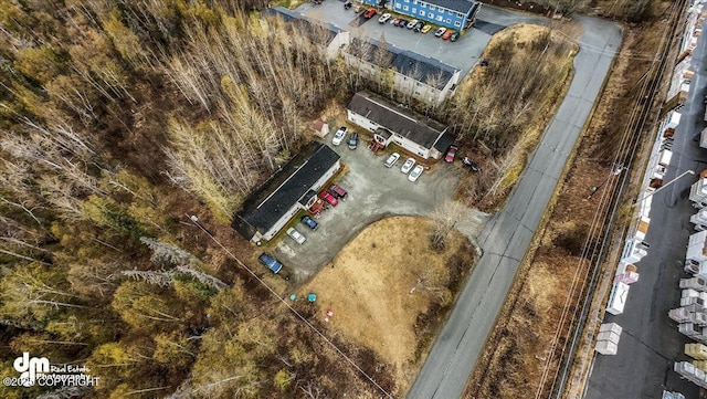 2601 E Quiet Cir, Wasilla, AK 99654 - birds eye view of property