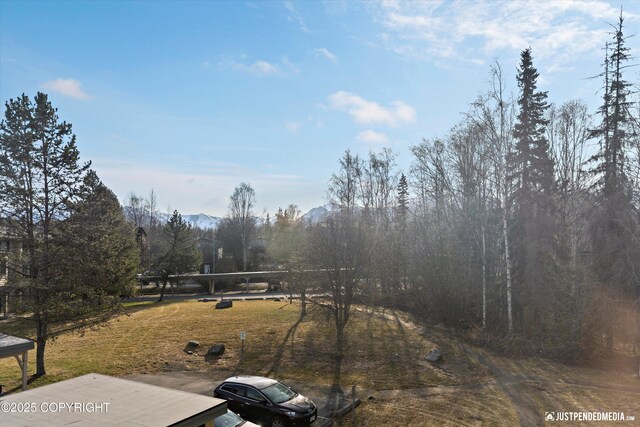 355 Donna Dr # 18, Anchorage, AK 99504 - view of yard