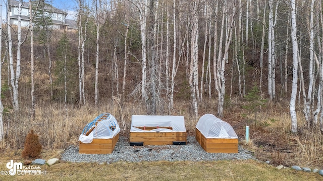 view of yard featuring a forest view