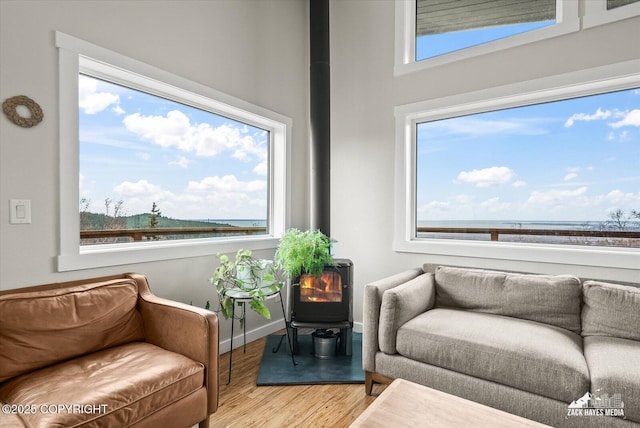 living area featuring a healthy amount of sunlight, baseboards, and wood finished floors