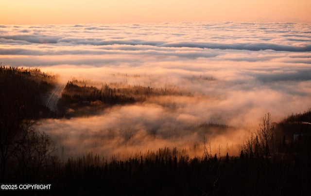 view of nature at dusk