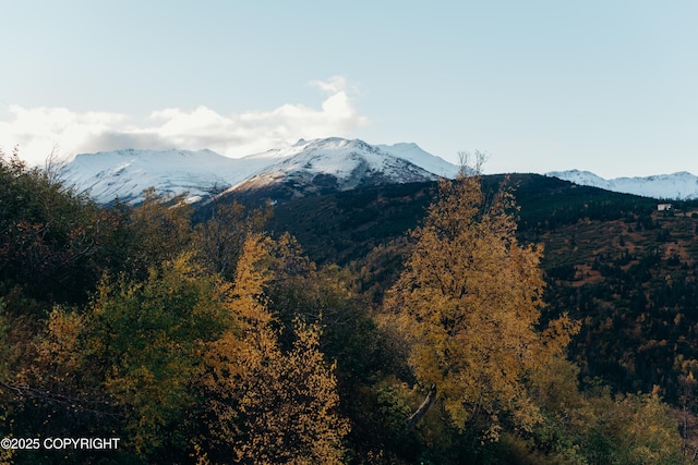 mountain view