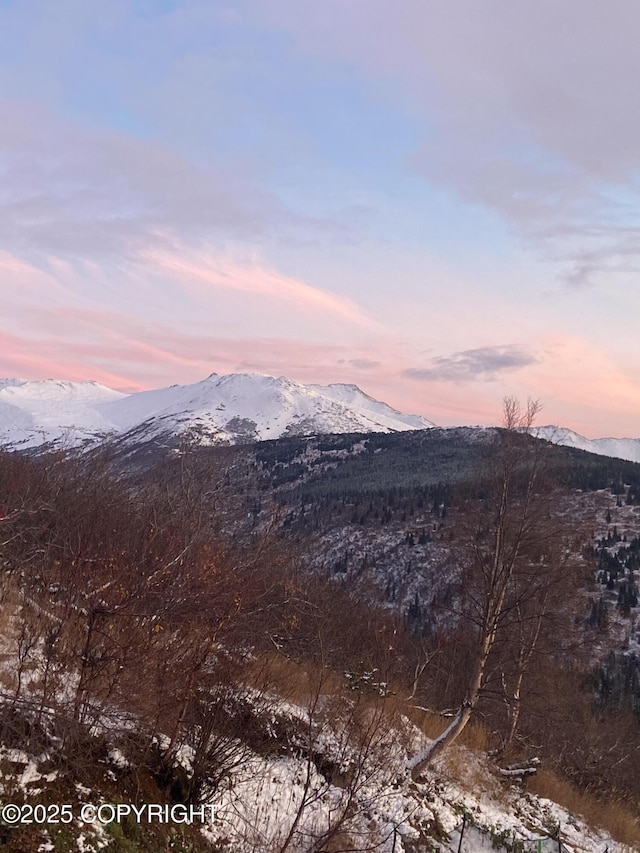 view of mountain feature