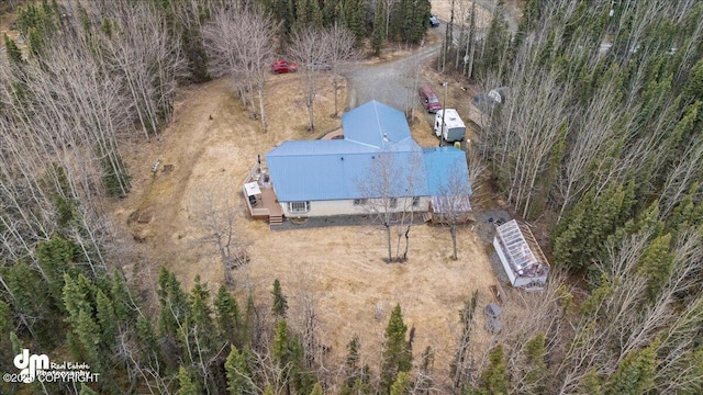 drone / aerial view