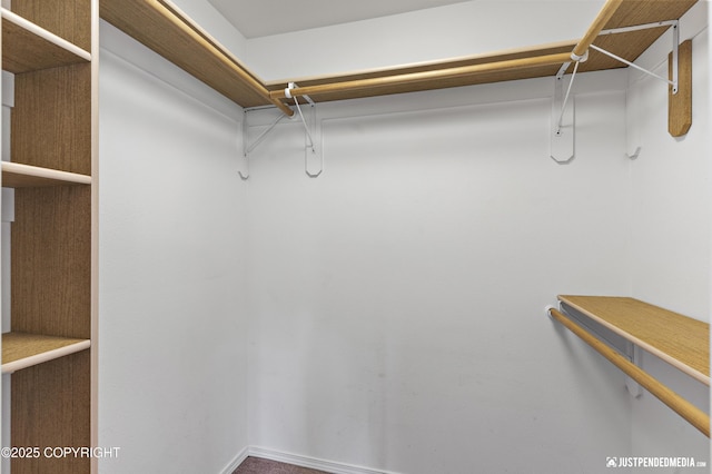 243 Creekside St # 2, Anchorage, AK 99504 - view of walk in closet