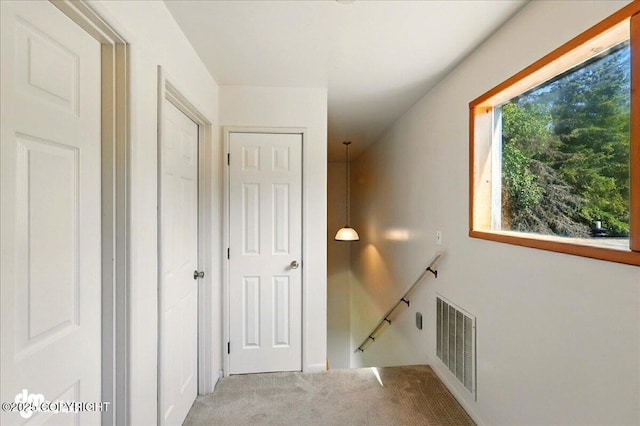 25925 Williamson Ln, Kasilof, AK 99610 - corridor featuring an upstairs landing and carpet flooring