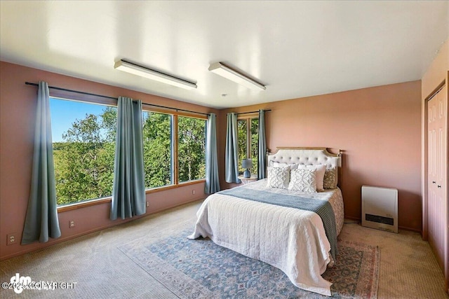 25925 Williamson Ln, Kasilof, AK 99610 - bedroom with carpet flooring and heating unit