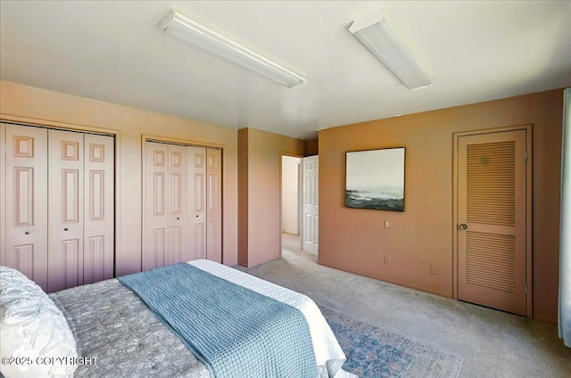 25925 Williamson Ln, Kasilof, AK 99610 - carpeted bedroom with two closets