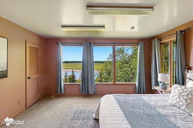 25925 Williamson Ln, Kasilof, AK 99610 - bedroom with carpet floors