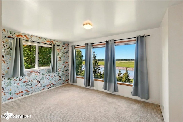 25925 Williamson Ln, Kasilof, AK 99610 - carpeted spare room with wallpapered walls and a water view