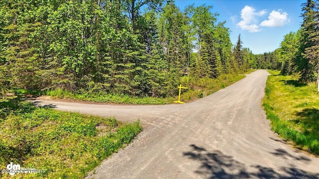 25925 Williamson Ln, Kasilof, AK 99610 - view of dirt / gravel road featuring a wooded view