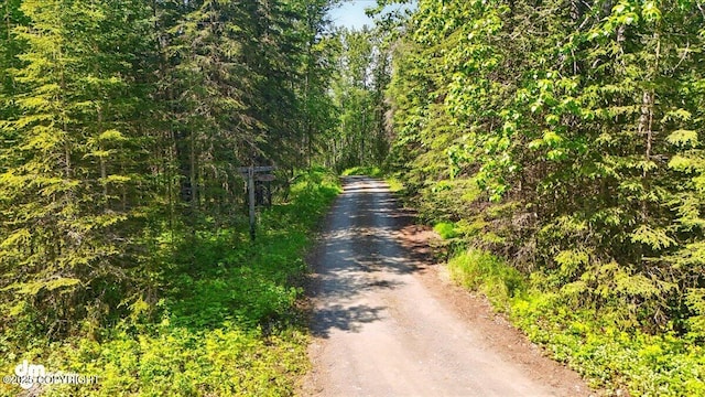 25925 Williamson Ln, Kasilof, AK 99610 - view of dirt / gravel road with a view of trees
