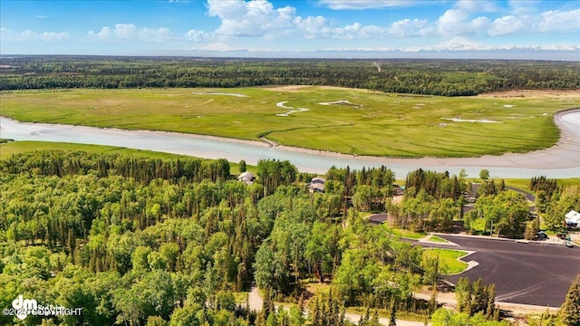 25925 Williamson Ln, Kasilof, AK 99610 - drone / aerial view of a forest