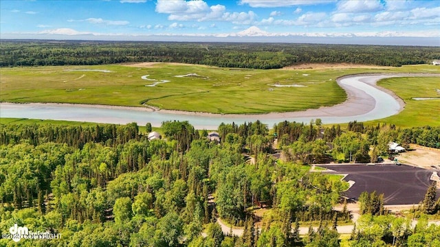 25925 Williamson Ln, Kasilof, AK 99610 - drone / aerial view of a heavily wooded area