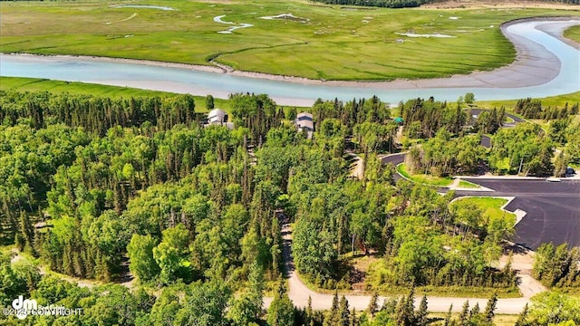 25925 Williamson Ln, Kasilof, AK 99610 - aerial view of a large body of water and a local golf course