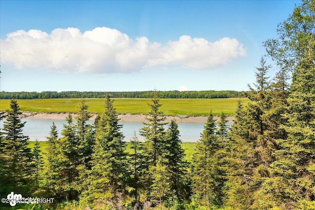 25925 Williamson Ln, Kasilof, AK 99610 - water view