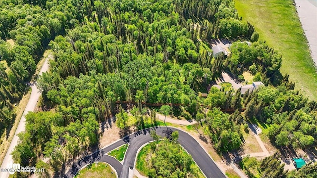 25925 Williamson Ln, Kasilof, AK 99610 - drone / aerial view