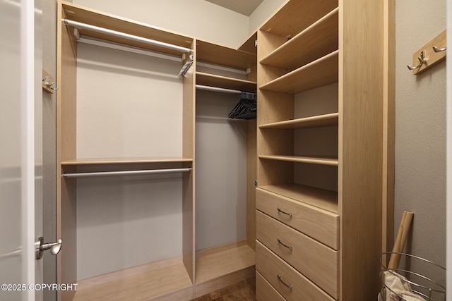 view of walk in closet