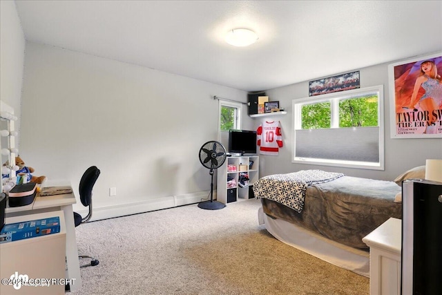 4200 Endeavor Cir, Anchorage, AK 99515 - bedroom with carpet floors