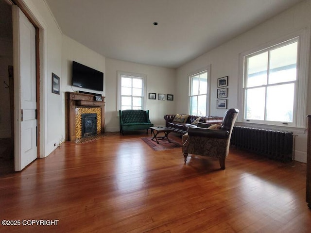 1 Fort Seward Dr, Haines, AK 99827 - living room featuring a fireplace with flush hearth, radiator heating unit, and wood finished floors