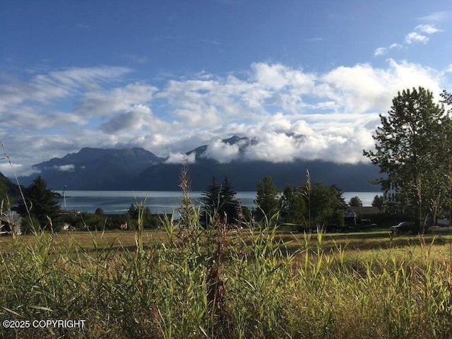 1 Fort Seward Dr, Haines, AK 99827 - view of mountain feature with a water view