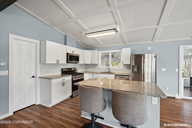 kitchen featuring appliances with stainless steel finishes, a sink, baseboard heating, dark wood-style floors, and healthy amount of natural light
