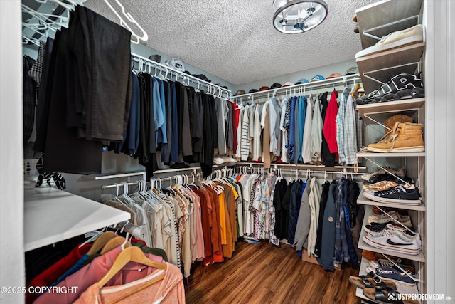 spacious closet featuring wood finished floors