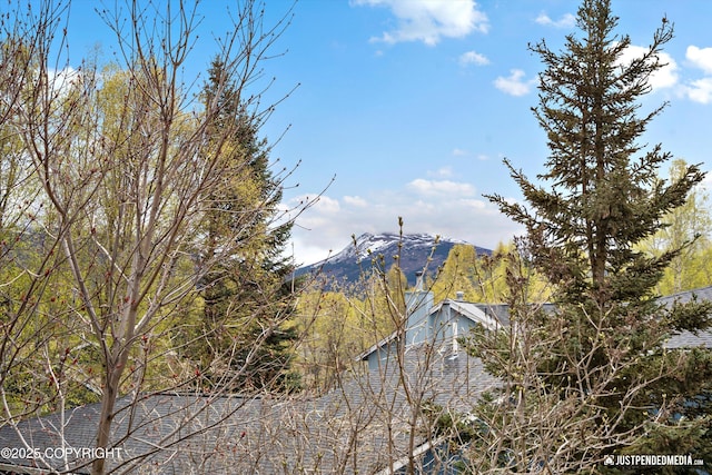 view of mountain background