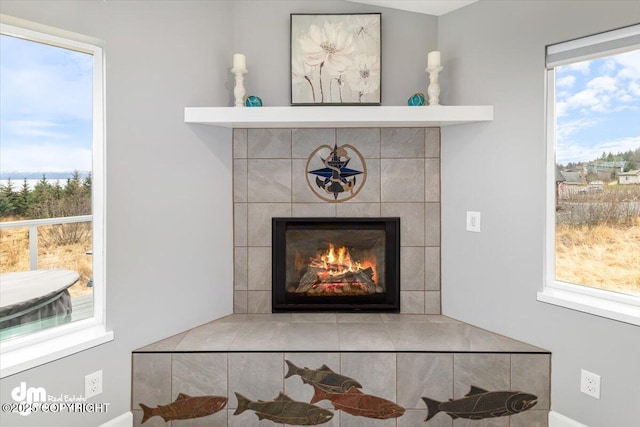 885 Soundview Ave, Homer, AK 99603 - interior details with a tile fireplace