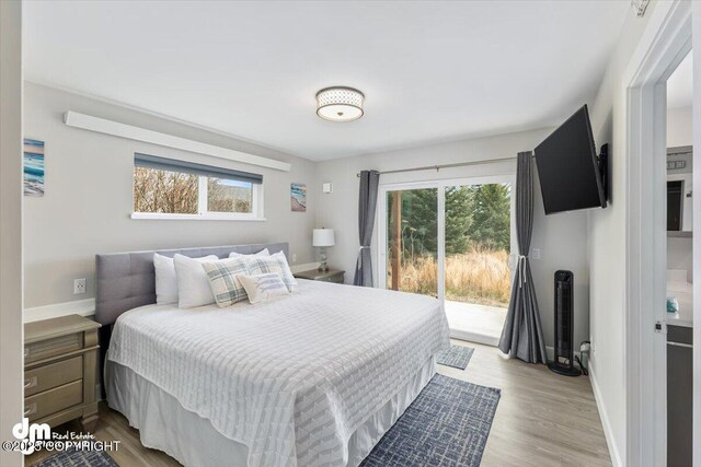 885 Soundview Ave, Homer, AK 99603 - bedroom with multiple windows, access to outside, and wood finished floors