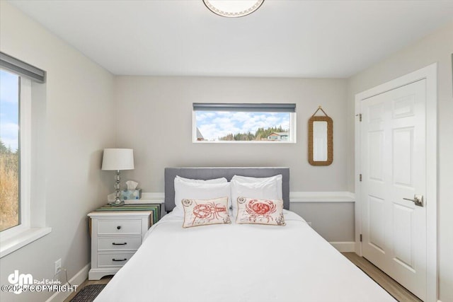 885 Soundview Ave, Homer, AK 99603 - bedroom with wood finished floors, baseboards, and multiple windows