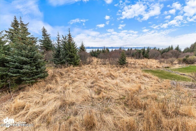 885 Soundview Ave, Homer, AK 99603 - view of landscape