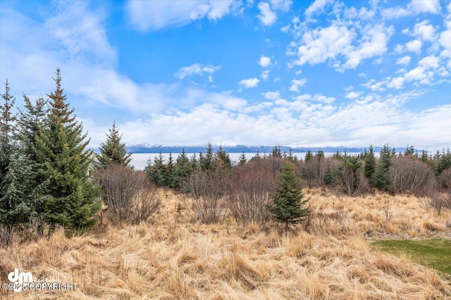 885 Soundview Ave, Homer, AK 99603 - view of nature with a water view