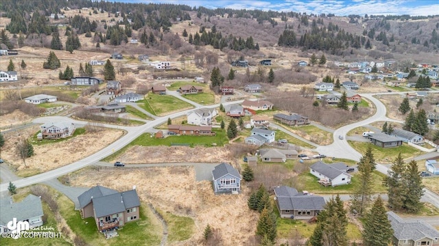 885 Soundview Ave, Homer, AK 99603 - bird's eye view with a residential view