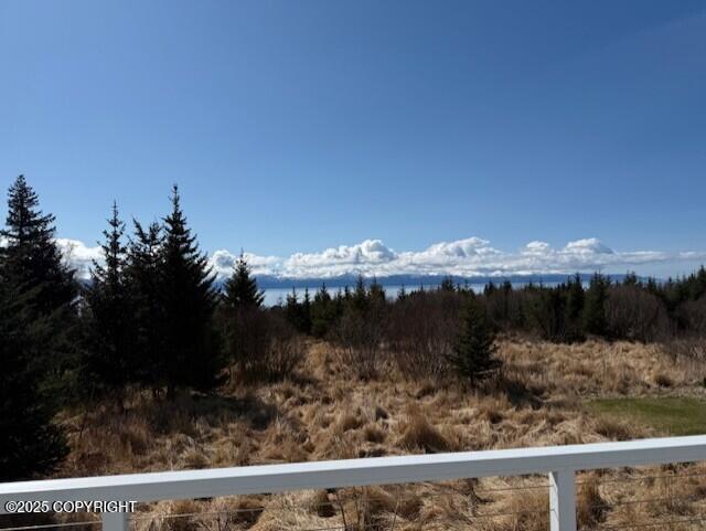 885 Soundview Ave, Homer, AK 99603 - view of mountain feature
