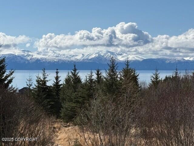 885 Soundview Ave, Homer, AK 99603 - exterior space