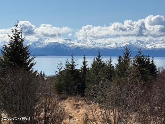 885 Soundview Ave, Homer, AK 99603 - view of mountain feature featuring a water view