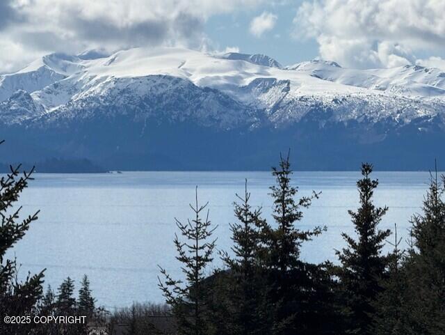885 Soundview Ave, Homer, AK 99603 - view of water feature featuring a mountain view