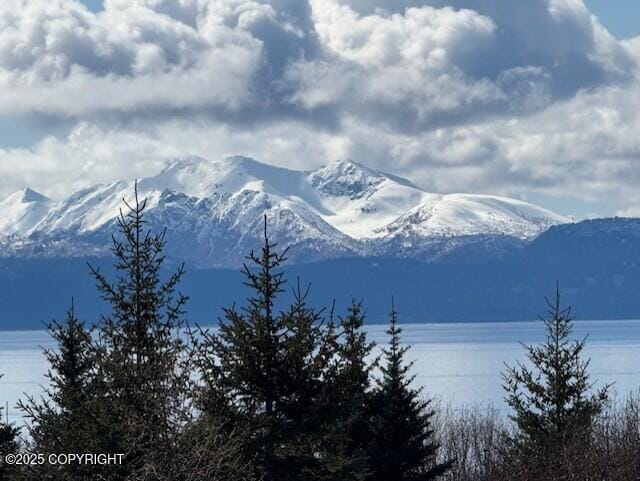 885 Soundview Ave, Homer, AK 99603 - view of mountain feature featuring a water view