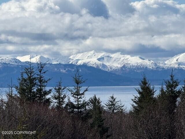 885 Soundview Ave, Homer, AK 99603 - mountain view