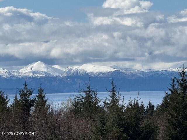 885 Soundview Ave, Homer, AK 99603 - mountain view