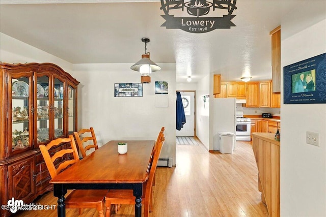 dining room with light wood finished floors and a baseboard radiator