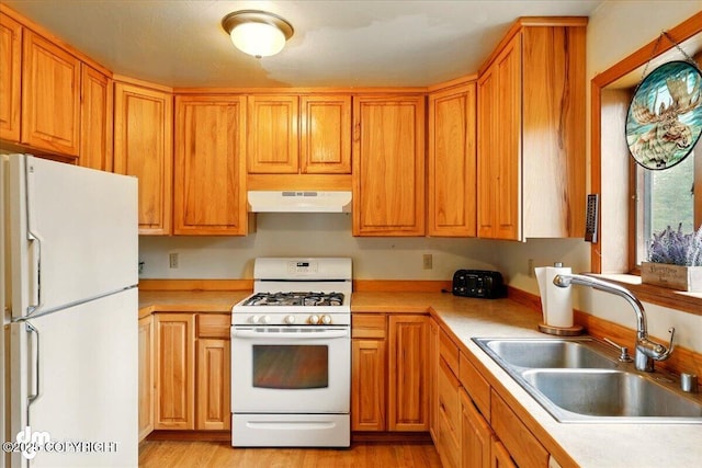 kitchen with white appliances, under cabinet range hood, a sink, light countertops, and light wood-style flooring