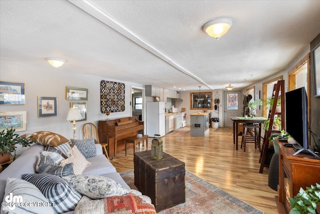 3669 Pullen Cir, Eagle River, AK 99577 - living room featuring a textured ceiling and light wood-style flooring