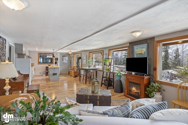 3669 Pullen Cir, Eagle River, AK 99577 - living area with healthy amount of natural light, a textured ceiling, light wood-style floors, and a glass covered fireplace